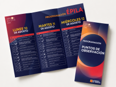 PROGRAMACION POGA EPILA