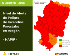 NAPIF 13 agosto