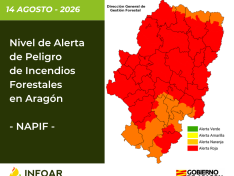 NAPIF 14 agosto