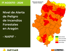 NAPIF 17 agosto