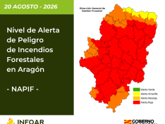 NAPIF 20 agosto
