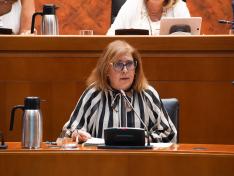 La directora del IAM, Inmaculada de Francisco, ha comparecido este lunes en la Comisión Institucional y de Desarrollo Estatutario de las Cortes de Aragón