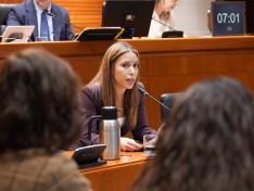 La directora general de Transparencia, Participación Ciudadana y Acción Exterior ha comparecido este lunes en las Cortes de Aragón