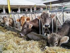 La Feria de Otoño de Biescas se celebra el 24 y 25 de octubre.