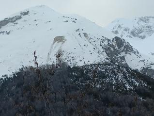 Imagen de un alud en el Pirineo aragonés