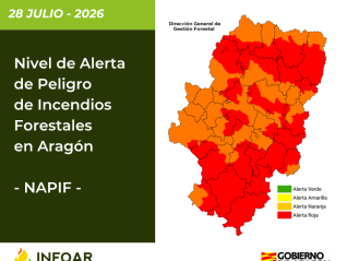 NAPIF 28 de julio