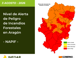 NAPIF 3 agosto