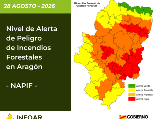 NAPIF 28 agosto