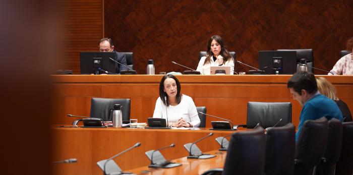 Susín, en la comparecencia sobre Presupuestos en la comisión de Hacienda