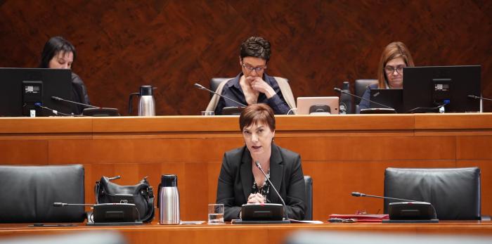 La DG de Igualdad de Oportunidades, María Victoria Alquézar, ha comparecido este martes en la comisión de Bienestar Social y Familia