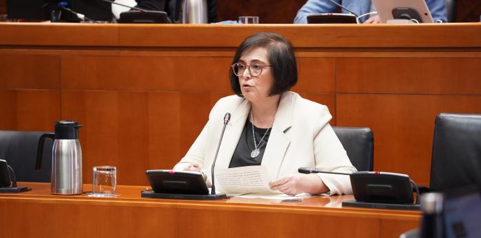La directora general de Mayores, Ana Isabel Berges, ha comparecido este martes en la comisión de Bienestar Social y Familia