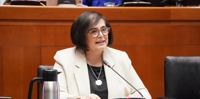 La directora general de Mayores, Ana Isabel Berges, ha comparecido este martes en la comisión de Bienestar Social y Familia