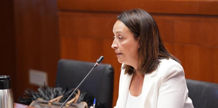Susín ha anunciado que Aragón ha instado al Ministerio competente a convocar un Consejo Interterritorial de Servicios Sociales extraordinario