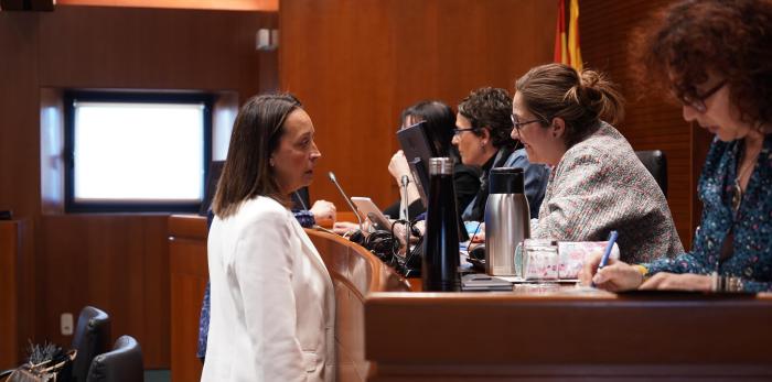 Susín ha anunciado que Aragón ha instado al Ministerio competente a convocar un Consejo Interterritorial de Servicios Sociales extraordinario