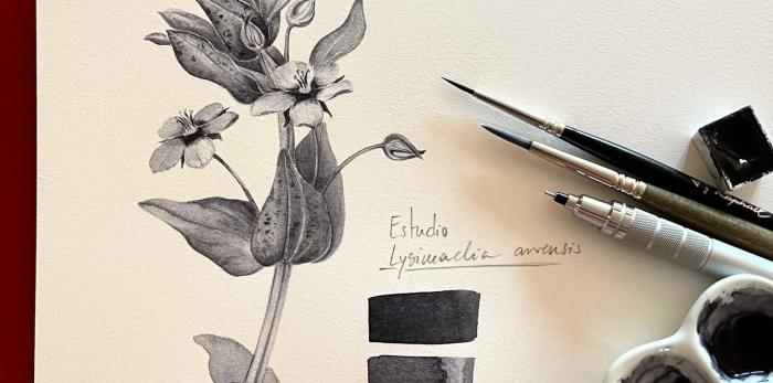 El CDAN organiza el ciclo 'Universo jardín'.