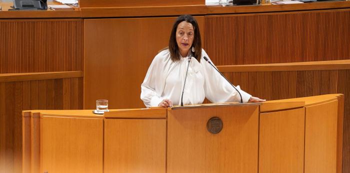 La consejera Susín, en su intervención en las Cortes sobre atención temprana