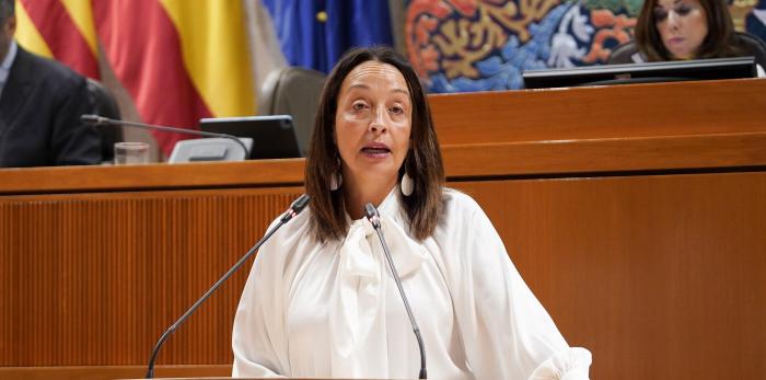 La consejera Susín, en su intervención en las Cortes sobre atención temprana