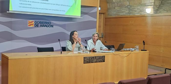 Susín y Fortea, en la presentación de la convocatoria para las casas de infancia en el territorio