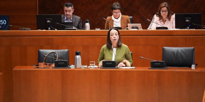 Este martes ha comparecido la consejera Susín ante la comisión de Bienestar Social y Familia