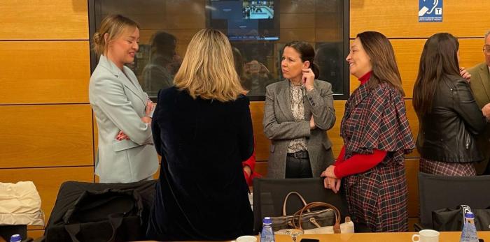 Este jueves en Madrid se ha celebrado la reunión del pleno del Consejo Territorial Servicios Sociales