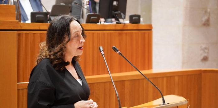 Susín ha sido interpelada en las Cortes sobre la atención que presta Aragón a mayores y dependientes