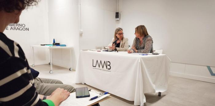 Este viernes se han constituido las mesas de trabajo para crear el Consejo Aragonés de Voluntariado