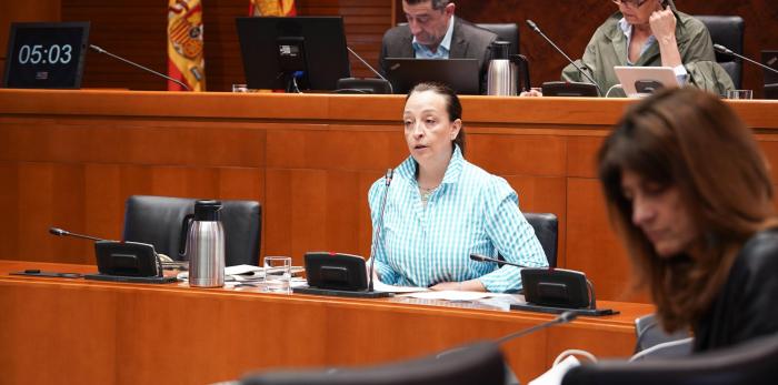 Este martes la Consejera ha comparecido para hablar sobre dependencia en la comisión de Bienestar Social y Familia