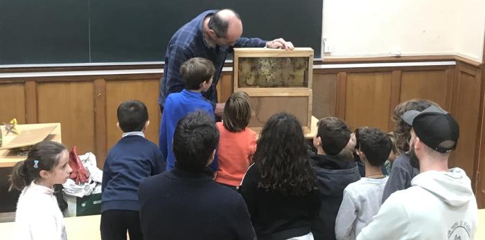 En 2024 el Plan de atención a familias de niños y jóvenes con altas capacidades llegó a más de medio millar de participantes