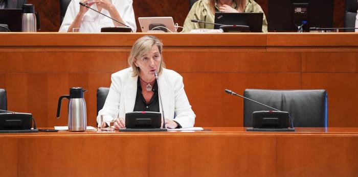 La DG de Familia, Infancia y Natalidad ha comparecido este martes en la comisión de las Cortes