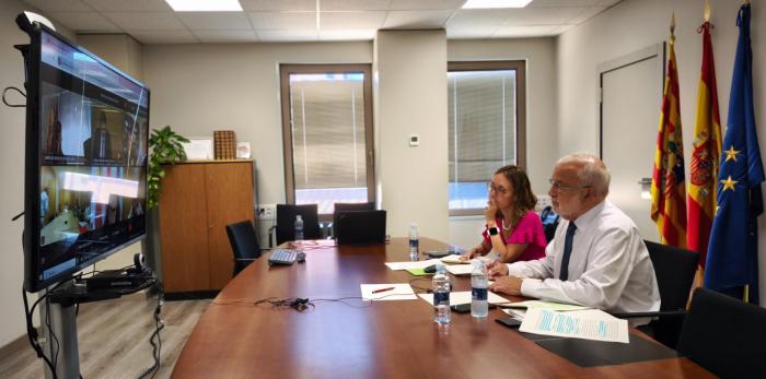 Este viernes Aragón, representado por el gerente del IASS, ha intervenido por videoconferencia en la Conferencia Sectorial de Infancia y Adolescencia