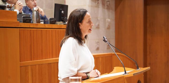 La consejera de Bienestar Social y Familia ha comparecido este jueves en las Cortes