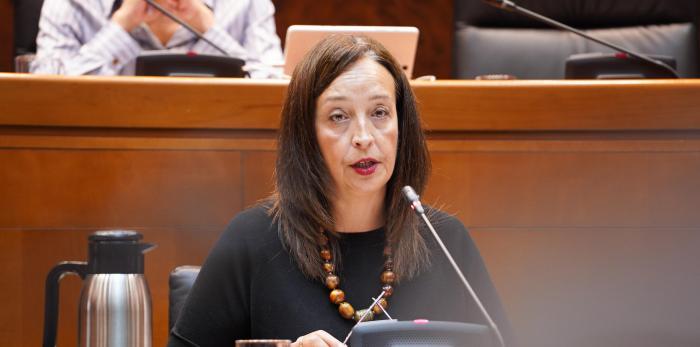 Este martes la Consejera ha comparecido en la comisión de Bienestar Social y Familia en las Cortes