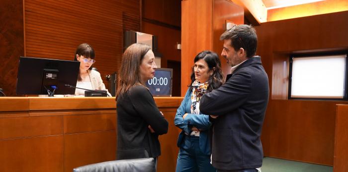Este martes la Consejera ha comparecido en la comisión de Bienestar Social y Familia en las Cortes
