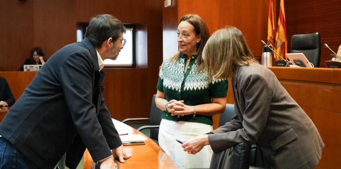 Este martes la Consejera ha comparecido en la comisión de Bienestar Social y Familia de las Cortes de Aragón