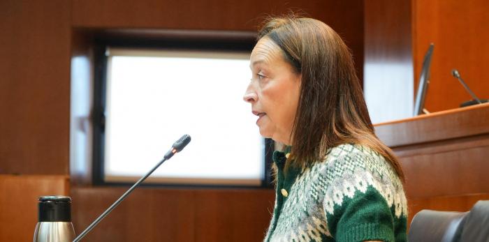 Este martes la Consejera ha comparecido en la comisión de Bienestar Social y Familia de las Cortes de Aragón