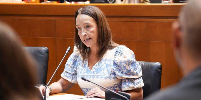 La consejera Susín ha comparecido este lunes por primera vez en la comisión de Educación, Ciencia y Universidades