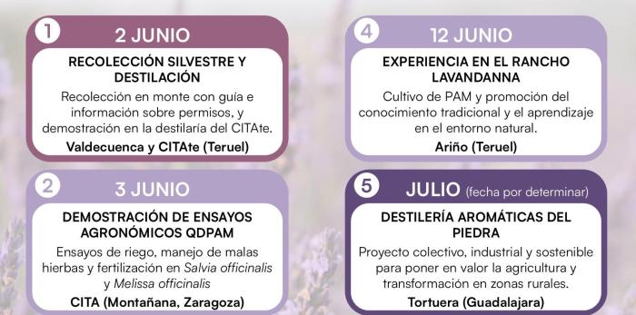 El CITA organiza un curso experiencial de cultivo y modelos de negocio con PAM en Teruel