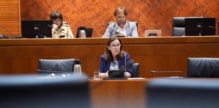 Marisa Feijóo, directora general de Universidades, ha comparecido este martes en la comisión