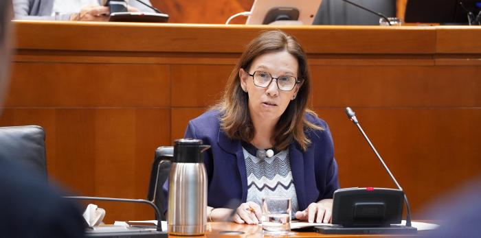 Marisa Feijóo, directora general de Universidades, ha comparecido este martes en la comisión
