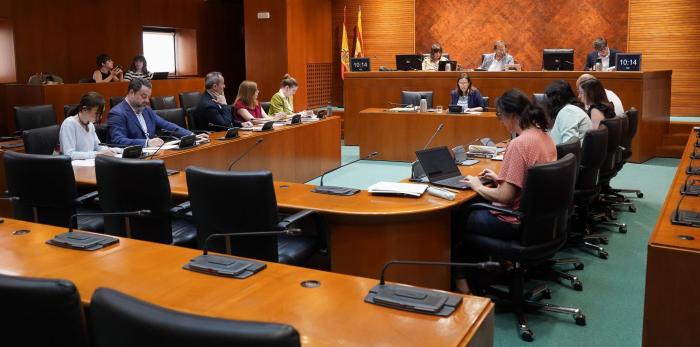 Marisa Feijóo, directora general de Universidades, ha comparecido este martes en la comisión