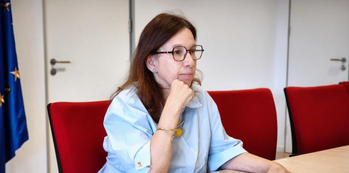María Luisa Feijóo, directora general de Universidades, ha participado en remoto en la sesión de la Conferencia General Universidades