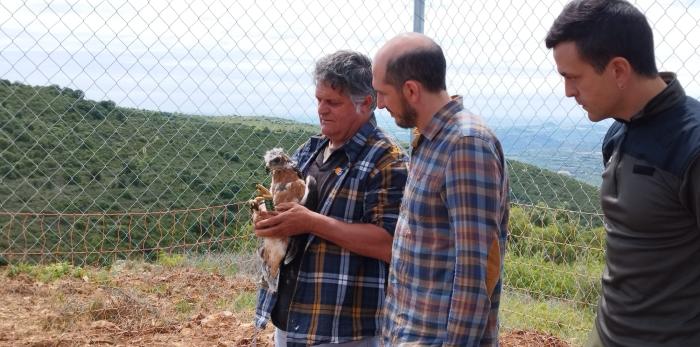 Tres de los ejemplares han sido cedidos por la Junta de Andalucía y los otros dos criados en cautividad por GREFA