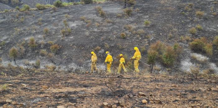 Imagen del incendio de Castejón de Tornos.