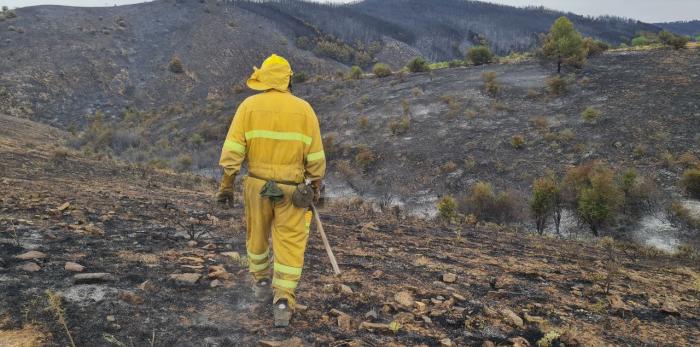 Imagen del incendio de Castejón de Tornos.