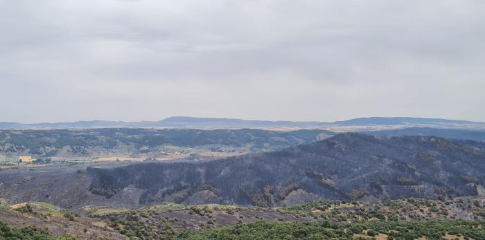 Imagen del incendio de Castejón de Tornos.