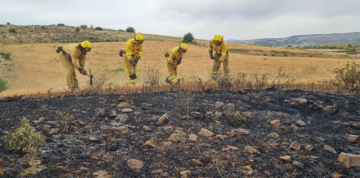 Imagen del incendio de Castejón de Tornos.