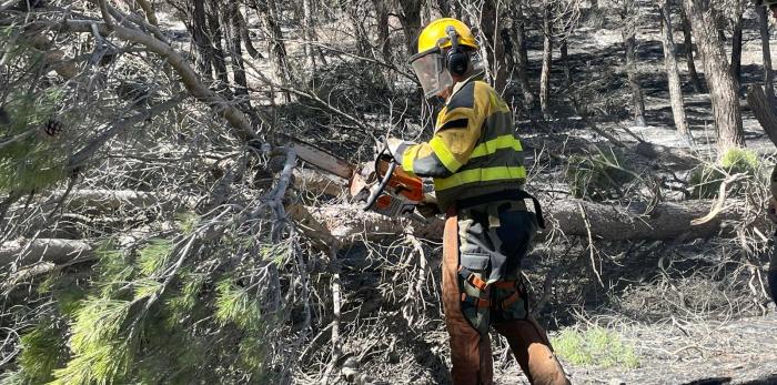 El INFOAR en tareas de limpieza de masa forestal dañada.