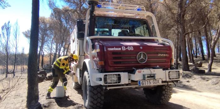 El INFOAR en tareas de limpieza de masa forestal dañada.