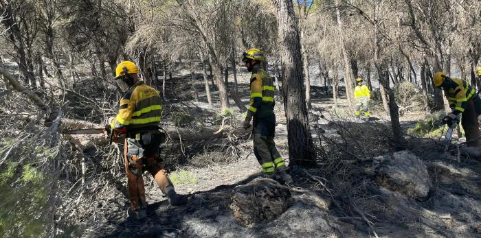 El INFOAR en tareas de limpieza de masa forestal dañada.