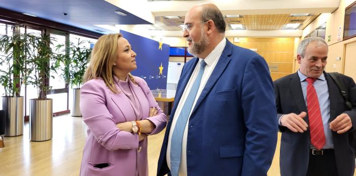 Mayte Pérez, ante la comisión de europarlamentarios desplazados hasta Madrid